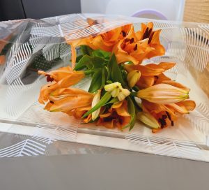 accessdisabilityservices